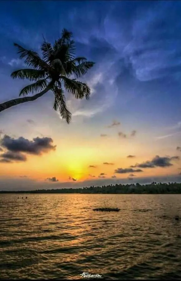 Rajatheeram Beach Homestay & Backwater Cruise Alleppey アーラップーザ県