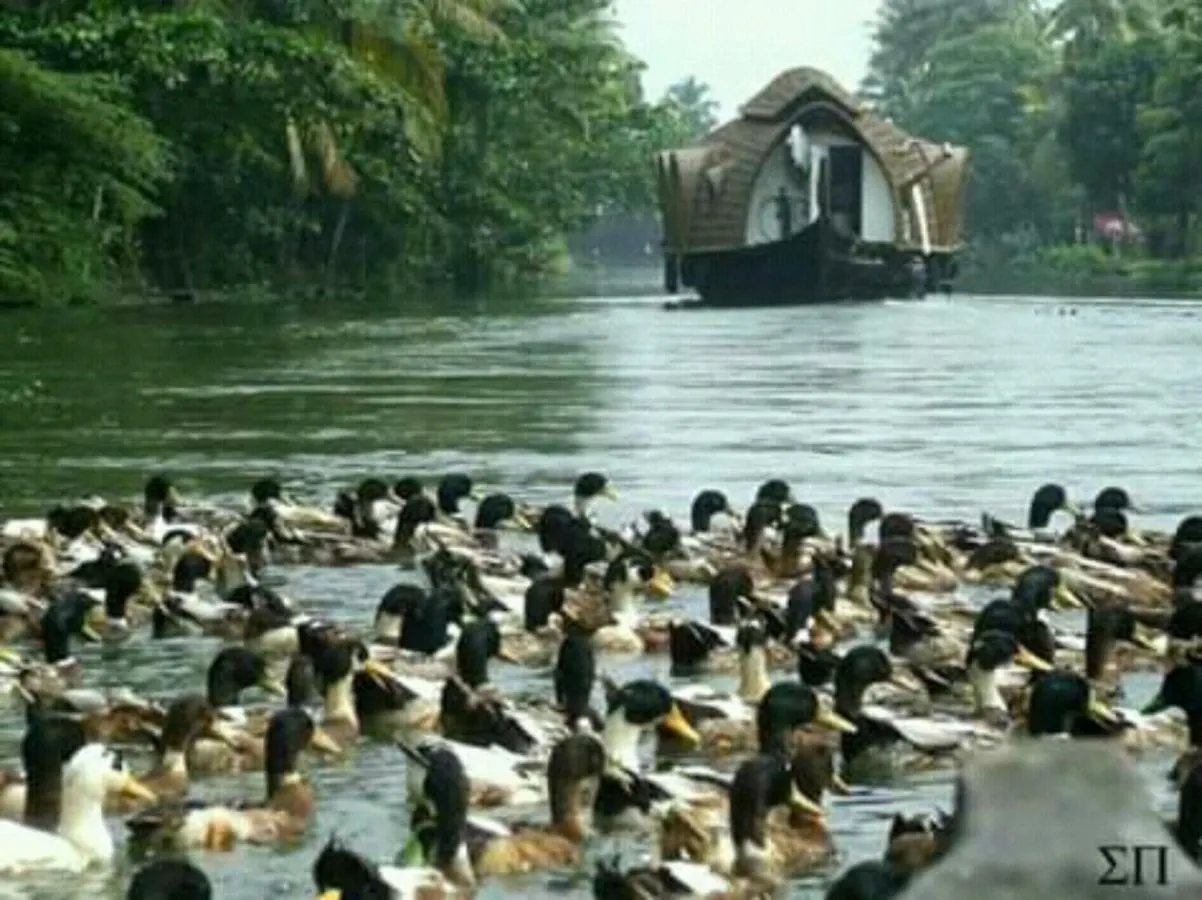 Rajatheeram Beach Homestay & Backwater Cruise Alleppey Alappuzha 0*,  India